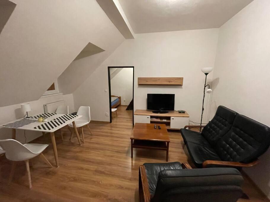 Francis Apartment - Lazenske Centrum Karlovy Vary Eksteriør bilde