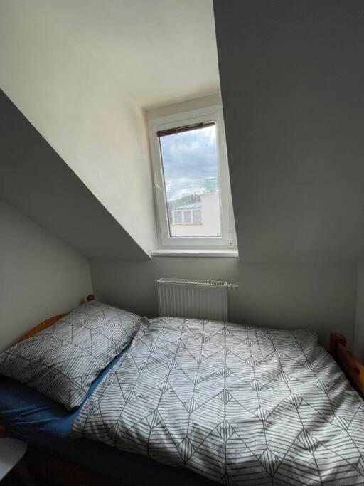 Francis Apartment - Lazenske Centrum Karlovy Vary Eksteriør bilde